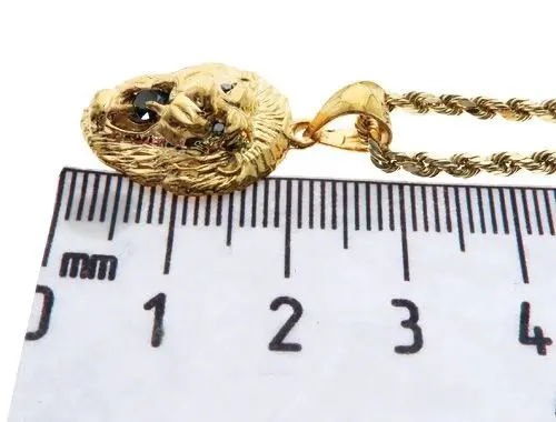 Black Diamond Lion Pendant and Rope Chain Set - Image 5